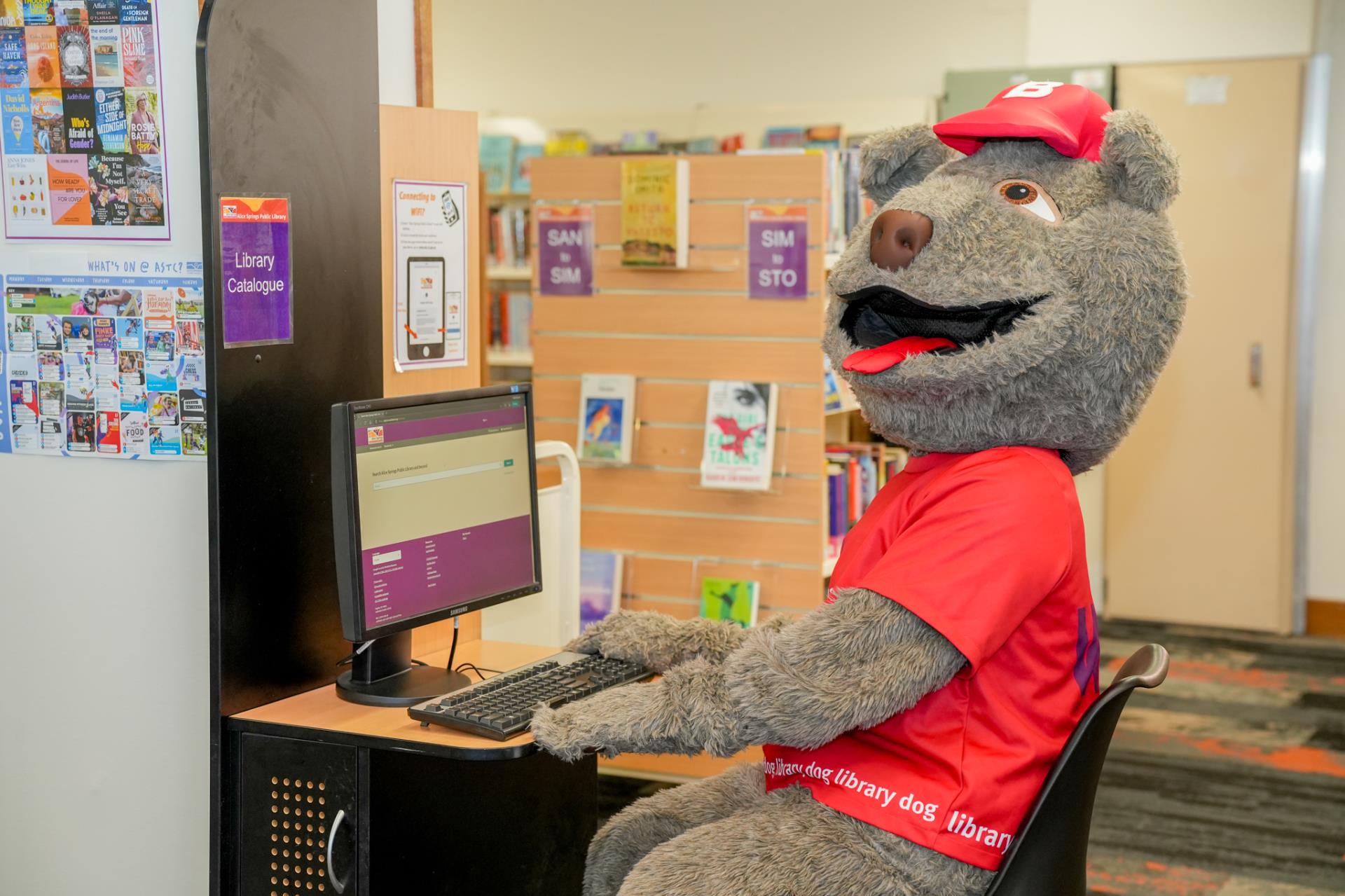 Library Programs Image