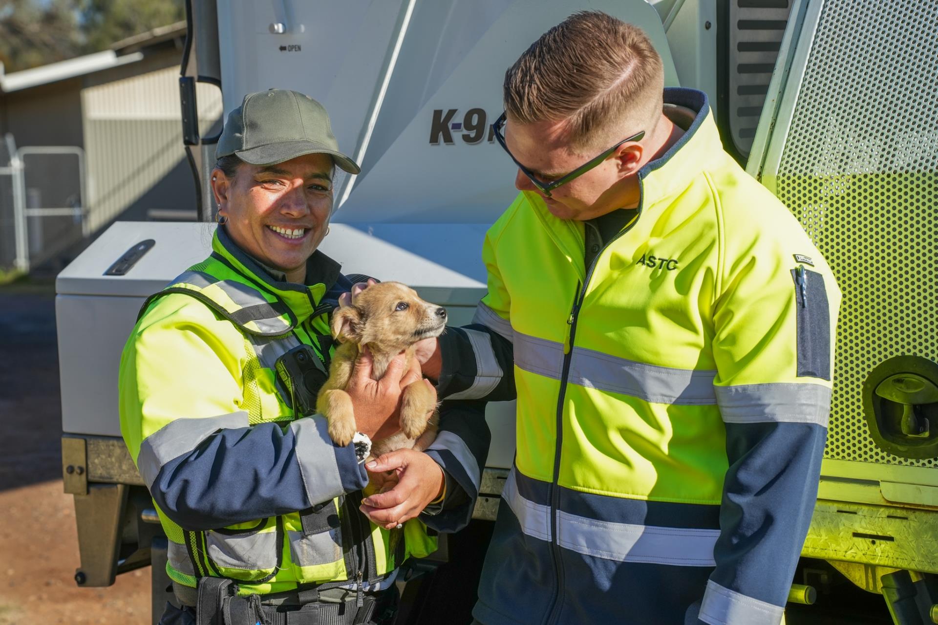 Animal Shelter Works holding a dog
