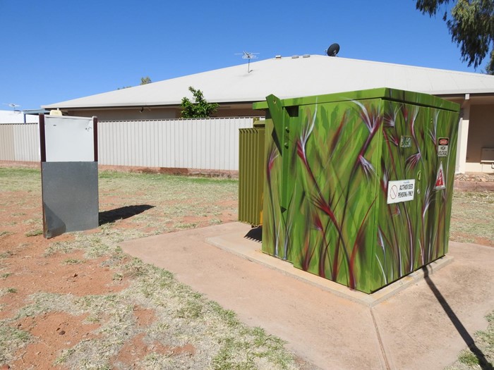 Kangaroo Grass  - Kangaroo_Grass_2019_Image_02