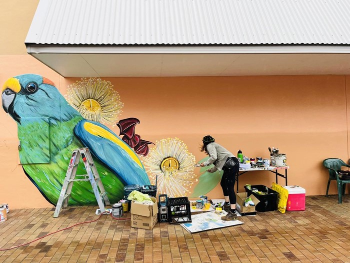 Urinpuringe (Mulga Parrot) - Urinpuringe__2024__Image_01