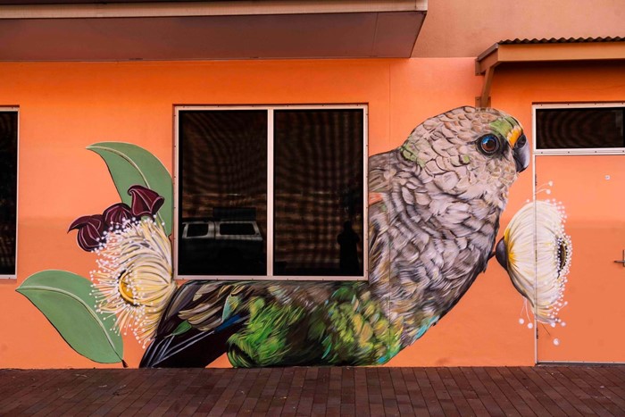 Urinpuringe (Mulga Parrot) - Urinpuringe__2024__Image_06