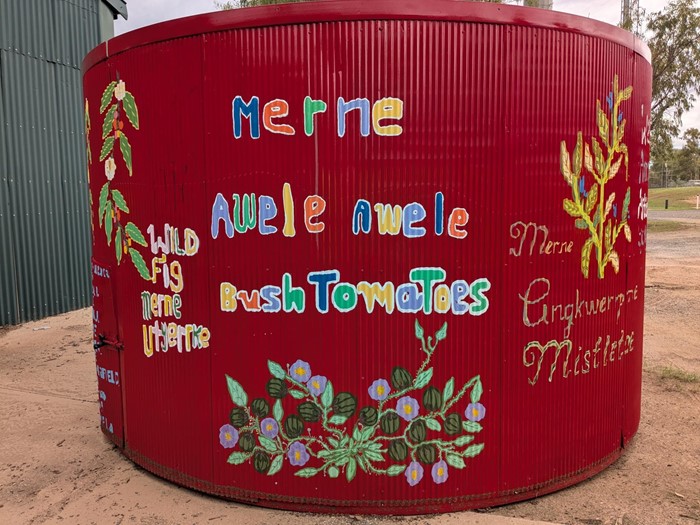 Anwerne Kenhe (Our Bush Tuckers) Christmas Tree Base  - Anwerne Kenhe_ 2023_ Image 02