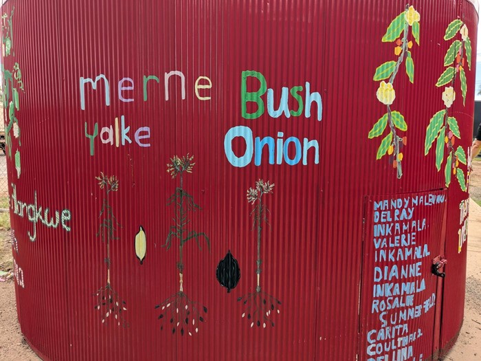 Anwerne Kenhe (Our Bush Tuckers) Christmas Tree Base  - Anwerne Kenhe_ 2023_ Image 03