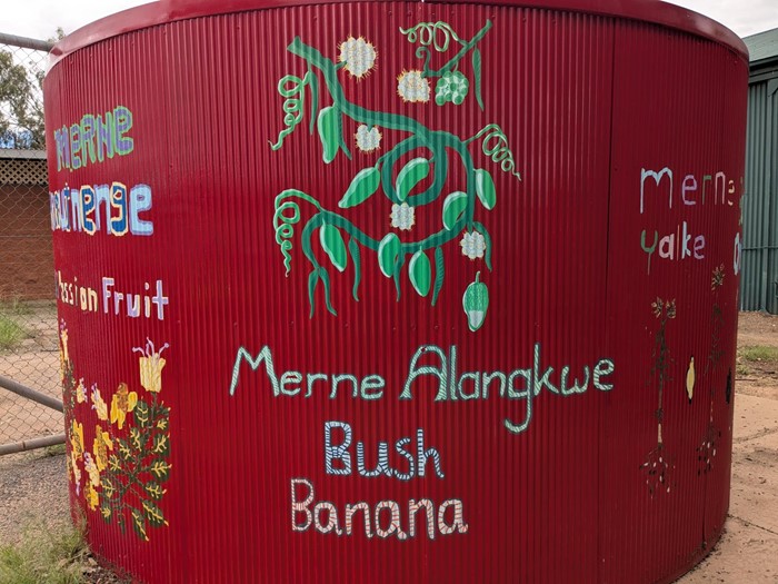 Anwerne Kenhe (Our Bush Tuckers) Christmas Tree Base  - Anwerne Kenhe_ 2023_ Image 04