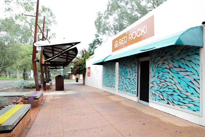 Bush Medicine Leaves  - Bush_Medicine_Leaves__2022__Image_05