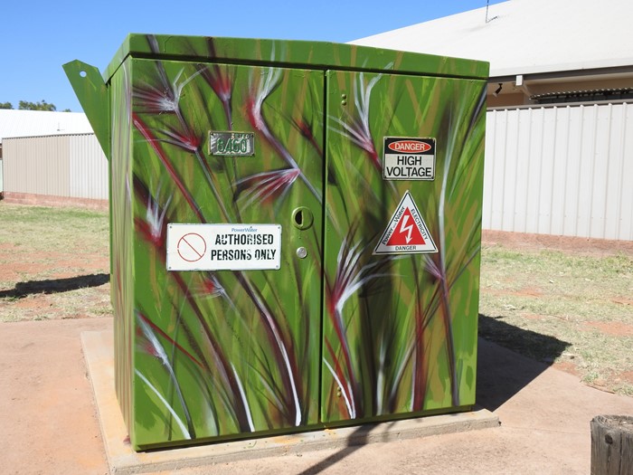 Kangaroo Grass  - Image 1