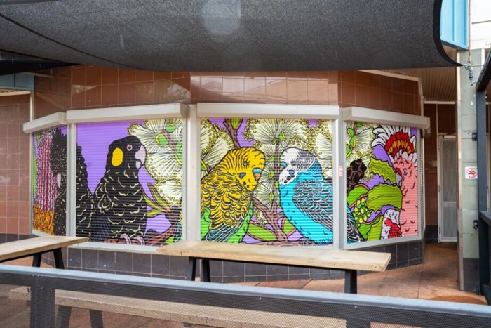 Local Feathers - Local Feathers_ 2024_Image 01