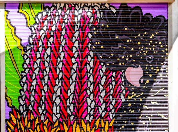 Local Feathers - Local Feathers_ 2024_Image 02