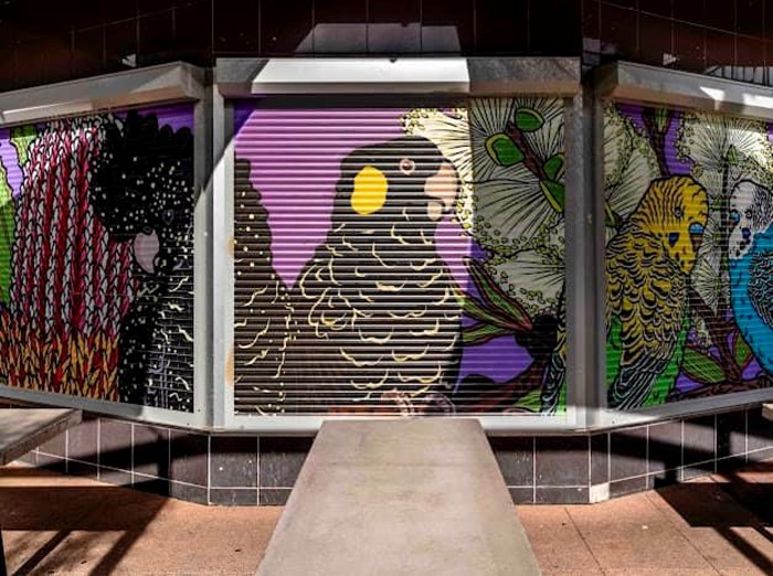 Local Feathers - Local Feathers_ 2024_Image 03