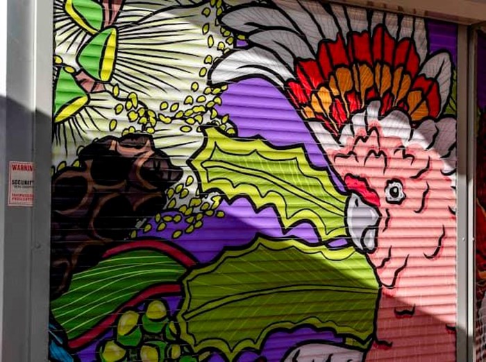 Local Feathers - Local Feathers_ 2024_Image 03