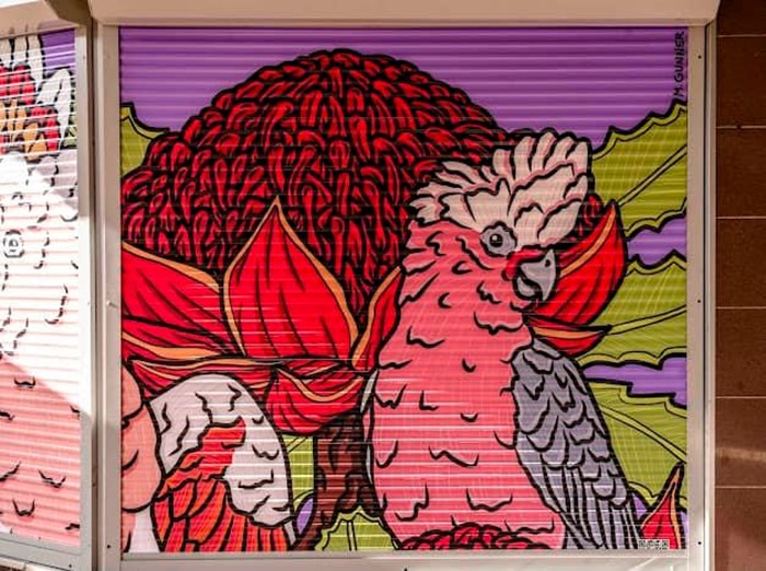 Local Feathers - Local Feathers_ 2024_Image 04