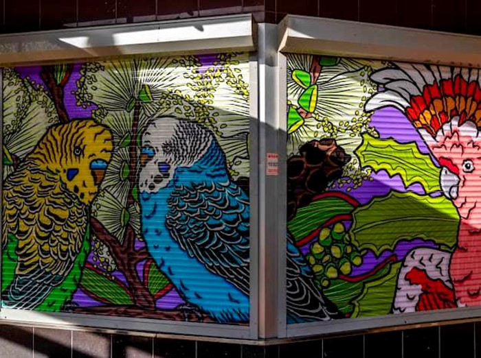 Local Feathers - Local Feathers_ 2024_Image 05