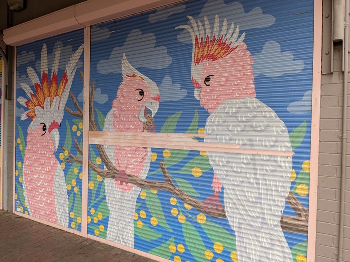 Pink Cockatoos - Pink Cockatoos_2024_Image 03