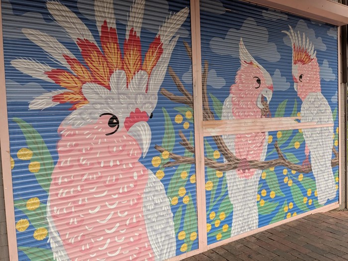 Pink Cockatoos - Pink Cockatoos_2024_Image 04