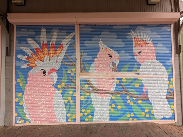 Pink Cockatoos - Pink Cockatoos_2024_Image 05