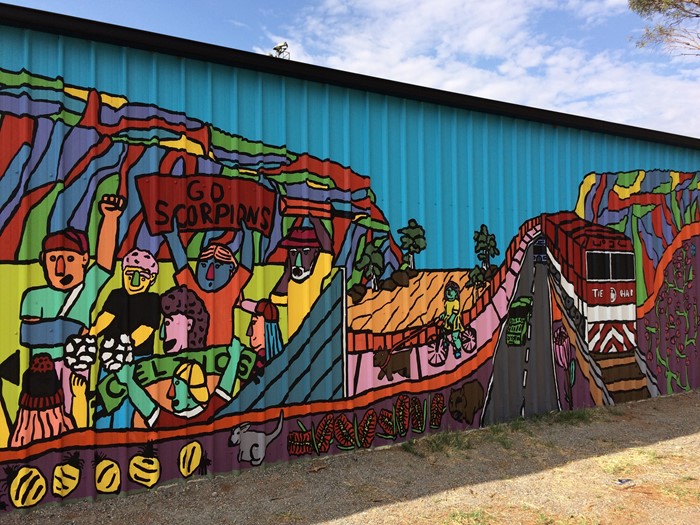 Ross Park Soccer Shed Mural  - Image 1