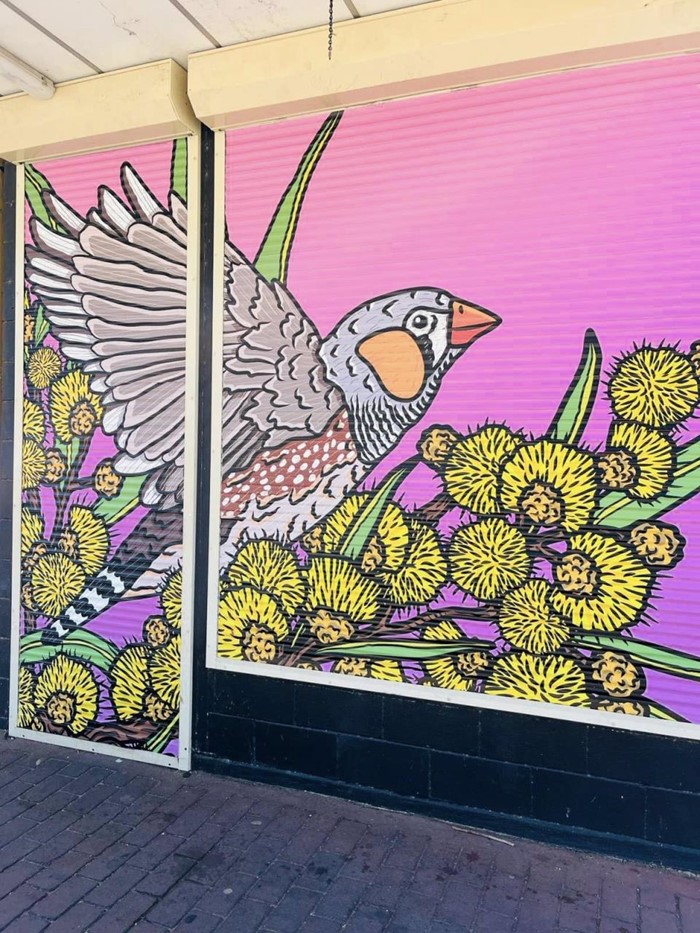 Zebra Finch - Zebra_Finch_2024_Image_01