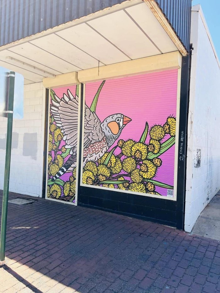 Zebra Finch - Zebra_Finch_2024_Image_02