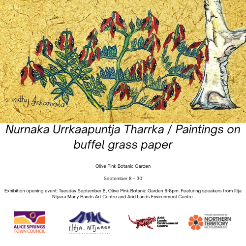 Nurnaka Urrkaapuntja Tharrka Paintings on Buffel Grass Paper