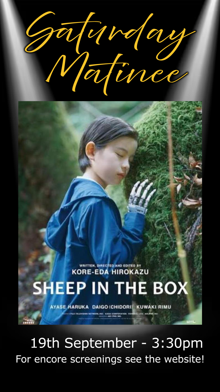 Saturday Matinee - Sheep In The Box